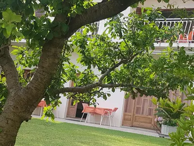 house