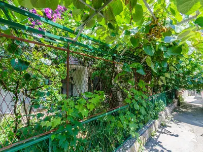 Ferienwohnung für 2 Personen (23 m²) in Makarska 3/10