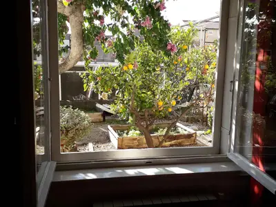 Ferienwohnung für 7 Personen (100 m²) in Makarska 4/10