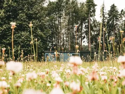 Ferienwohnung für 5 Personen (50 m²) in Malansac 10/10