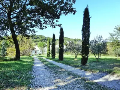 GardenSummer