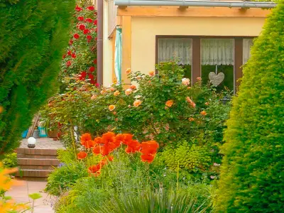 Ferienwohnung für 4 Personen (75 m²) in Malchow 9/10