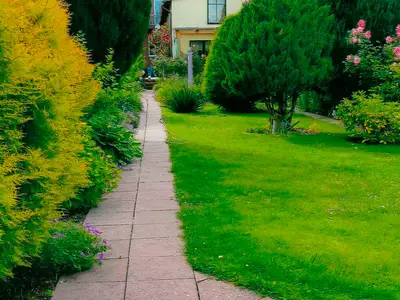Ferienwohnung für 4 Personen (75 m²) in Malchow 10/10