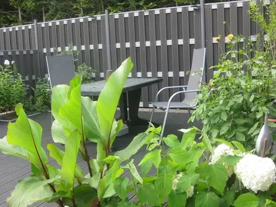 Ferienwohnung für 4 Personen (60 m²) in Malchow 6/10