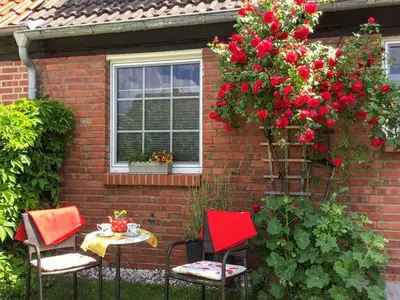 Ferienwohnung für 3 Personen (58 m²) in Malchow 4/10