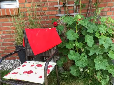 Ferienwohnung für 3 Personen (58 m²) in Malchow 5/10