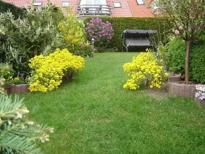 Ferienwohnung für 3 Personen (42 m²) in Malchow 3/10