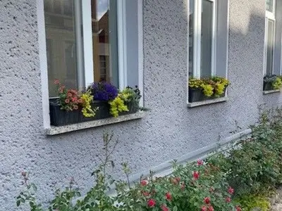 Ferienwohnung für 4 Personen (60 m²) in Malchow 5/10