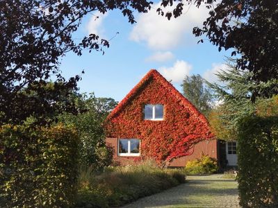 Ferienwohnung für 6 Personen (78 m²) in Malente 2/10