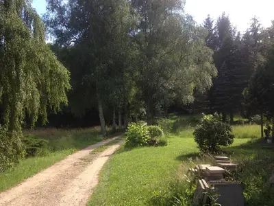 Ferienwohnung für 2 Personen (25 m²) in Bad Malente 2/10