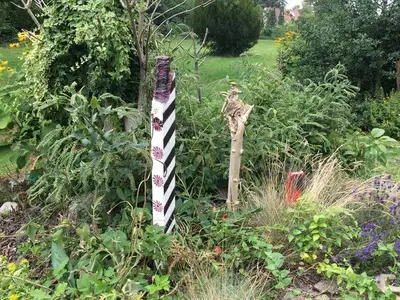 Ferienwohnung für 2 Personen (25 m²) in Bad Malente 10/10