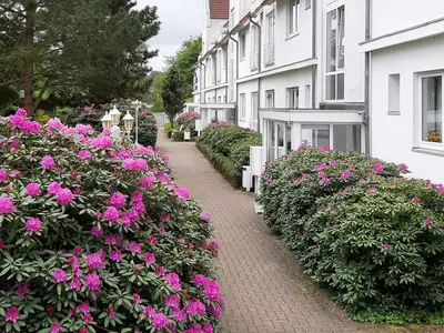 Ferienwohnung für 3 Personen (40 m²) in Bad Malente 4/10
