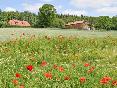 Ferienwohnung für 4 Personen (80 m²) in Bad Malente 2/10