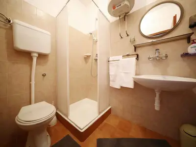 Ferienwohnung für 4 Personen (52 m²) in Mali Iž 8/10