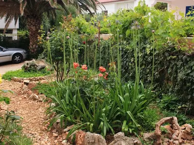 Ferienwohnung für 2 Personen in Mali Lošinj 7/10