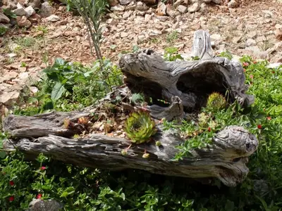 Ferienwohnung für 2 Personen in Mali Lošinj 9/10