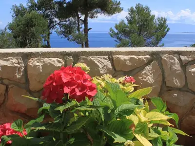 Ferienwohnung für 5 Personen in Mali Lošinj 8/10