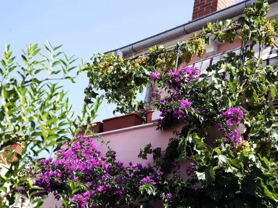Ferienwohnung für 4 Personen (50 m²) in Mali Lošinj 7/10