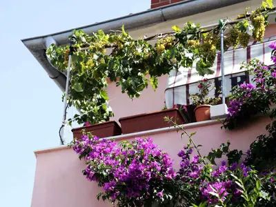 Ferienwohnung für 4 Personen (50 m²) in Mali Lošinj 8/10