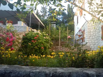 Ferienwohnung für 3 Personen (42 m²) in Mali Lošinj 2/10