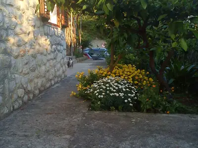 Ferienwohnung für 5 Personen (57 m²) in Mali Lošinj 7/10