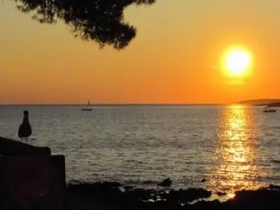 Ferienwohnung für 2 Personen (33 m²) in Mali Lošinj 3/10