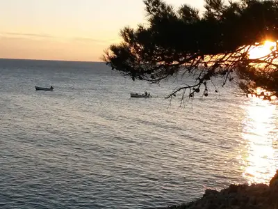 Ferienwohnung für 4 Personen (85 m²) in Mali Lošinj 5/10