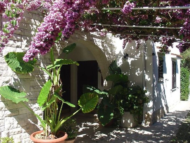 19286422-Ferienwohnung-0-Mali Lošinj-800x600-1