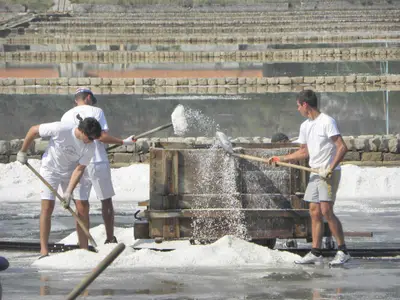 Ferienwohnung für 2 Personen (38 m²) in Mali Ston 7/10