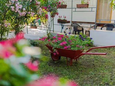 Ferienwohnung für 5 Personen (60 m²) in Malinska 7/10