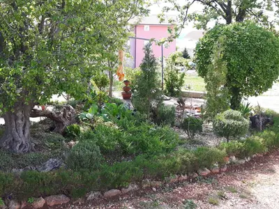 Ferienwohnung für 3 Personen (32 m²) in Malinska 8/10