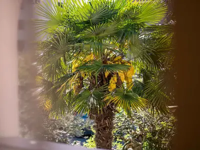 Ferienwohnung für 2 Personen (50 m²) in Malinska 2/10