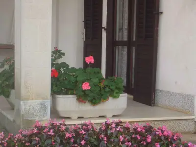 Ferienwohnung für 5 Personen (80 m²) in Malinska 2/10