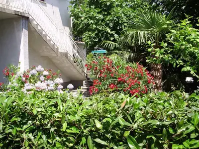 Ferienwohnung für 5 Personen (60 m²) in Malinska 3/10