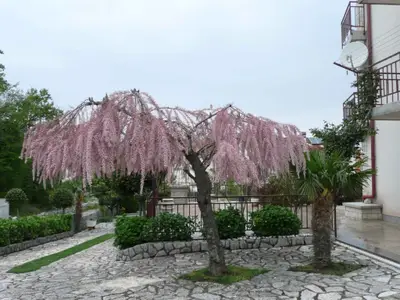 Ferienwohnung für 4 Personen (38 m²) in Malinska 6/10