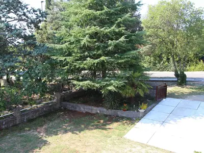 Ferienwohnung für 6 Personen (60 m²) in Malinska 8/10