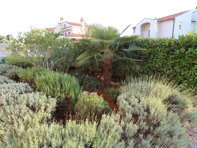 Ferienwohnung für 4 Personen (85 m²) in Malinska 9/10