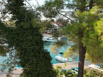 ViewSummer