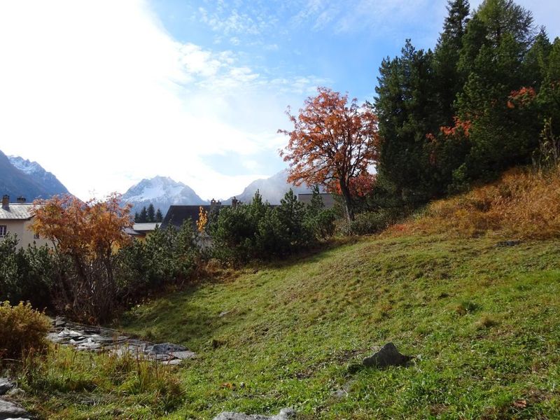 12911003-Ferienwohnung-2-Maloja-800x600-2