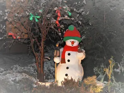 Garten. Winterimpresion