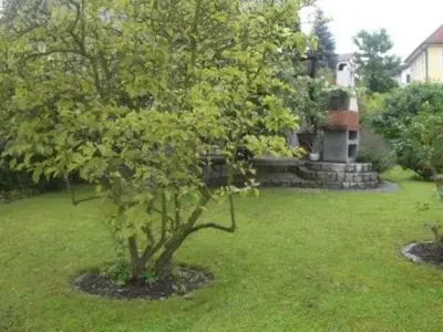 Ferienwohnung für 4 Personen (80 m²) in Malterdingen 7/10