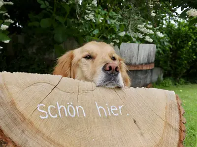 Garten