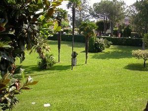 22452507-Ferienwohnung-6-Manerba Del Garda-300x225-5