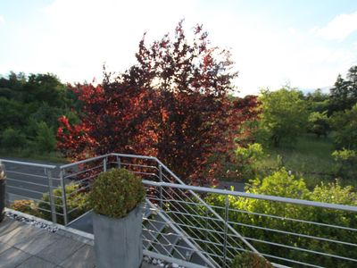 Aufgang zur Terrasse und Wohnung