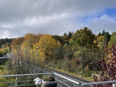 Blick zum Wald im Herbst