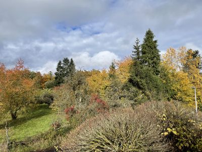 Blick auf gegenüberliegende Wiese im Herbst