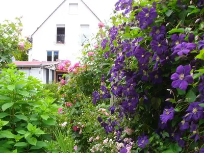 Ferienwohnung für 2 Personen (30 m²) in Marburg 3/10
