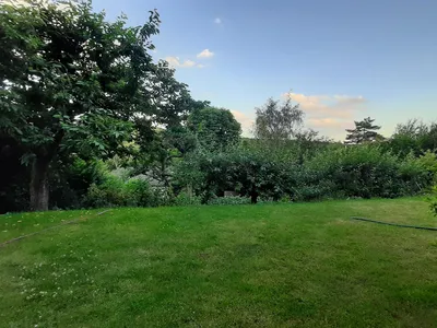 Ausblick 2 im Garten