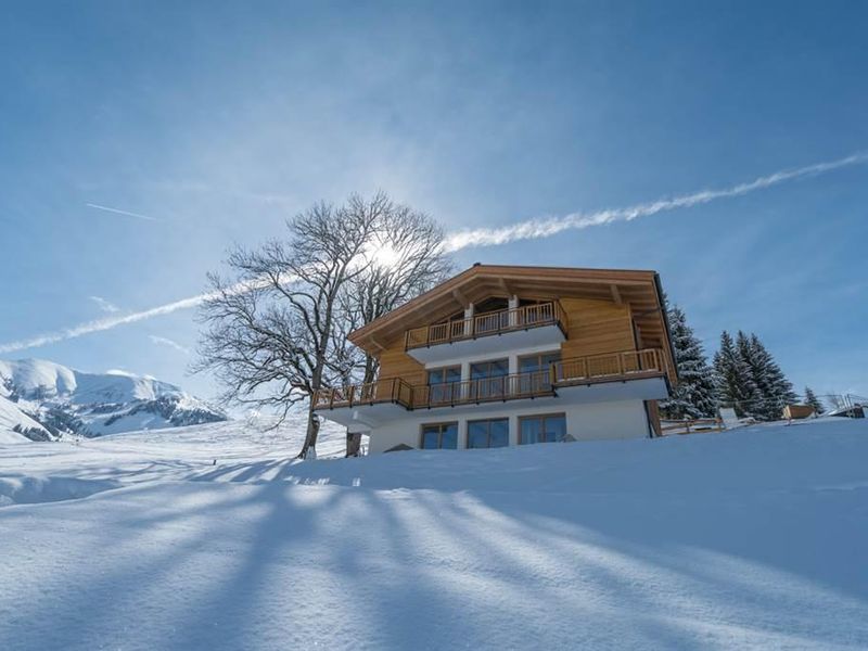 19333299-Ferienwohnung-4-Maria Alm am Steinernen Meer-800x600-2