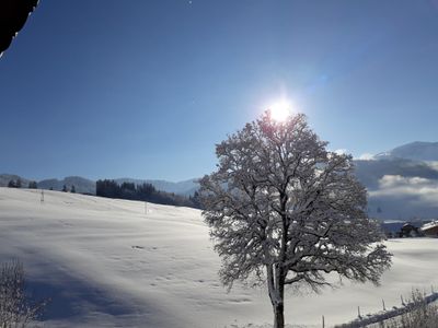 Ausblick vom Lärchenhof2